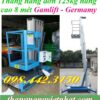 Thang nâng đơn cao 8 mét – 125kg GAMLIFT GTWY8-100