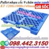 Pallet nhựa 9 chân màu xanh