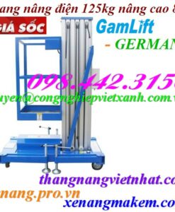 Thang nâng điện 125kg nâng cao 8 mét GAMLIFT GTWY8-100
